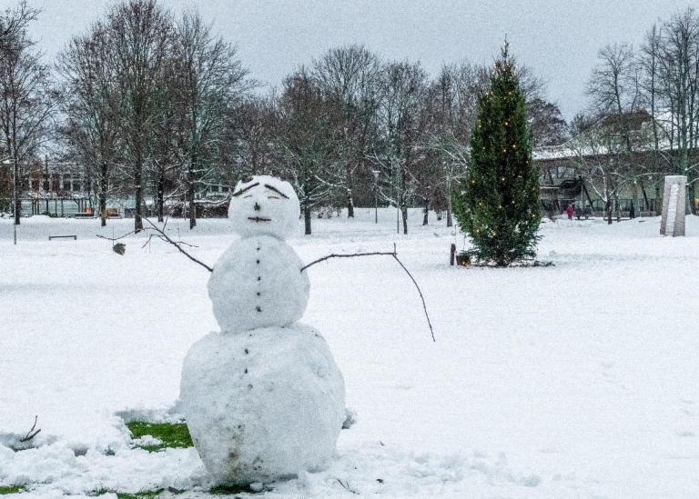 Snögubbe i vinterlandskap med träd i bakgrunden.
