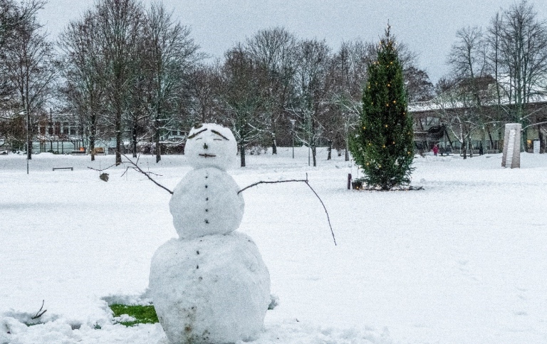 Snögubbe i vinterlandskap med träd i bakgrunden.