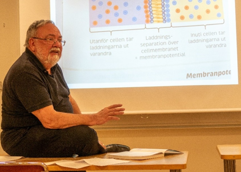 Man sitter på kateder framför projektorbild med illustration av membranpotenital i en cell.