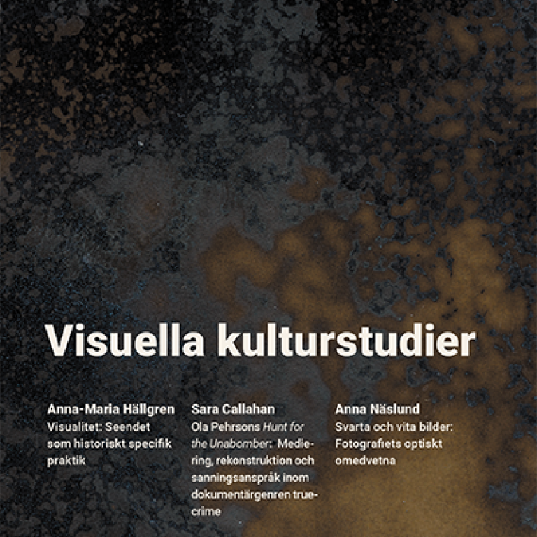 Detalj av omslaget till boken visuella kulturstudier