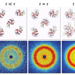 Biomolekyler i trånga miljöer