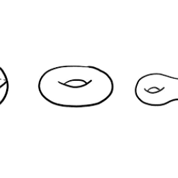 Three figures: a sphere, a torus (donut shape) and one like two donuts glued together like an 8.