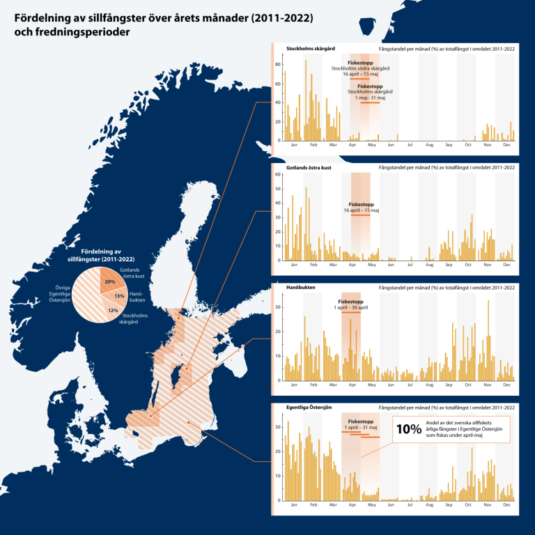 Grafik över sillfisket i Egentliga Östersjön 2011-2022