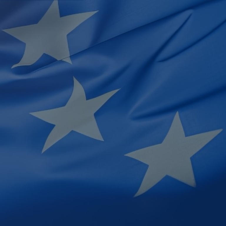 En EU-flagga som rör sig i vinden.
