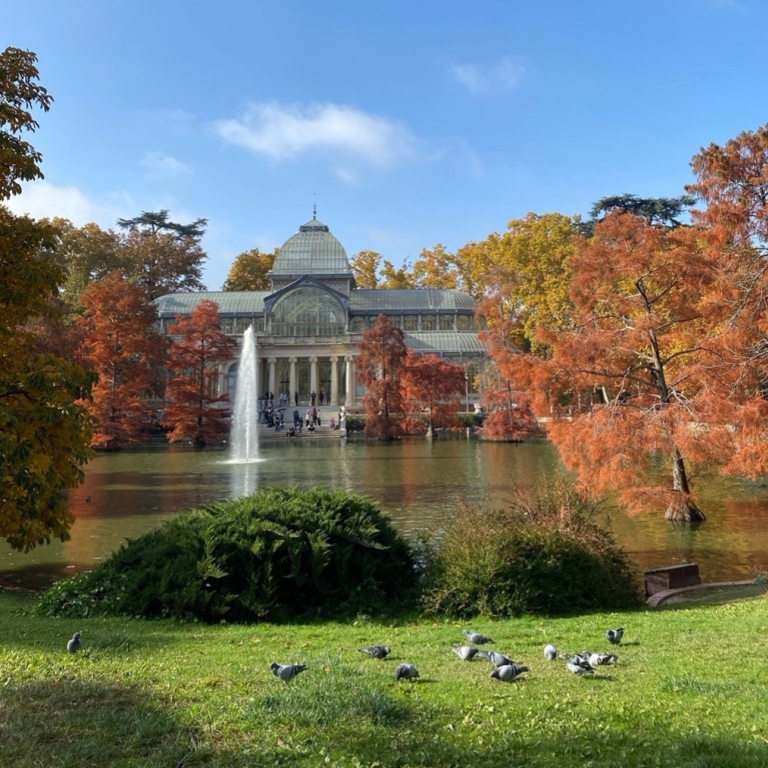 In the photo: Birds, a little lake and a fountain, Palacio de Cristal in Madrid in the background.