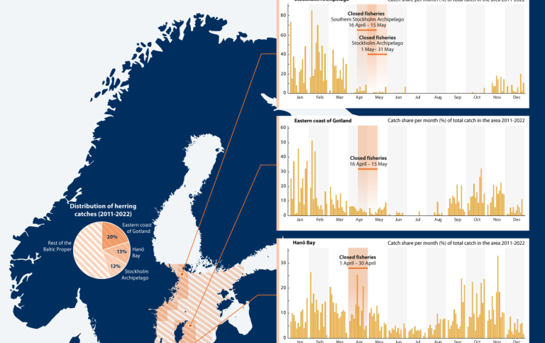 Sillfångster Centrala Östersjön 2011-2022