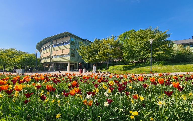Geohuset tulipas