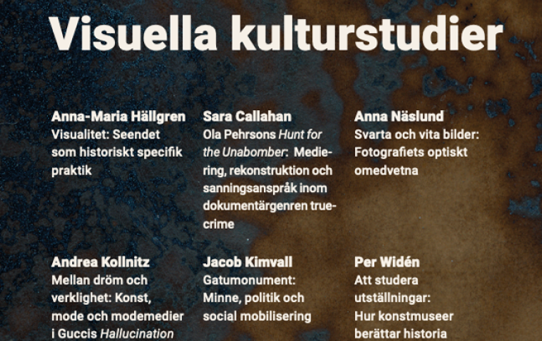 Detalj av omslaget till boken Visuella kulturstudier
