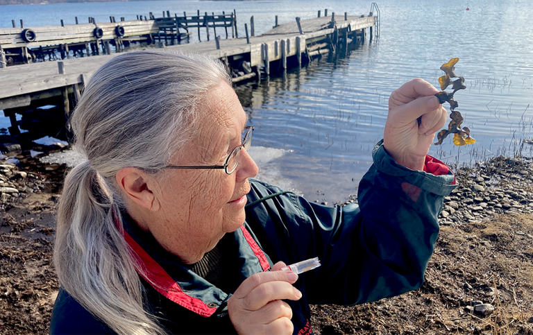 Lena Kautsky med blåstång