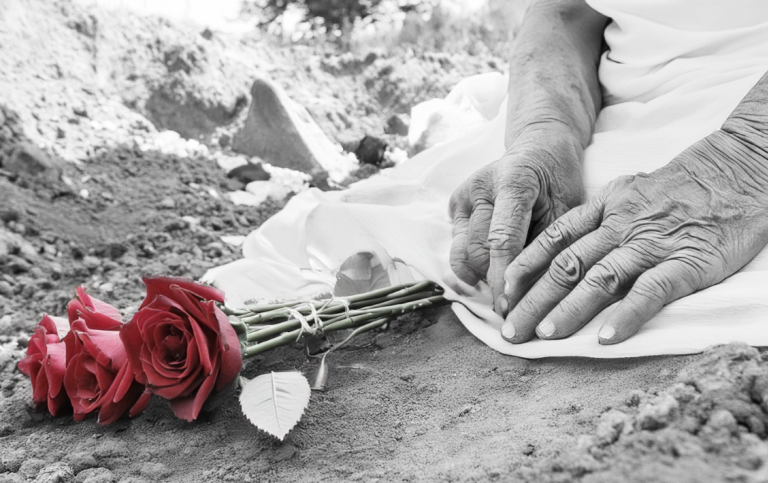 hands of old woman with red roses. Artwork Credit: Photoshop - DGL