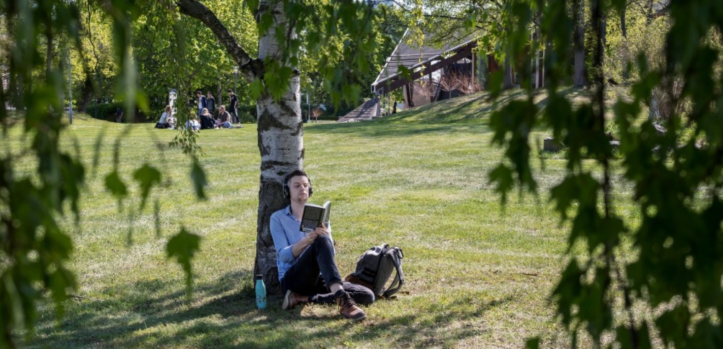 Student med hörlurar sitter under ett träd och läser.