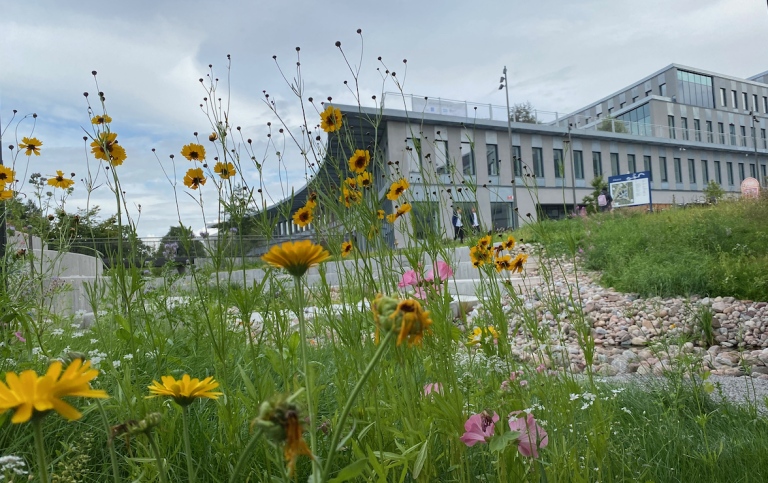 House 4 in Albano with flowers in the foreground. Photo: Henrik Dunér