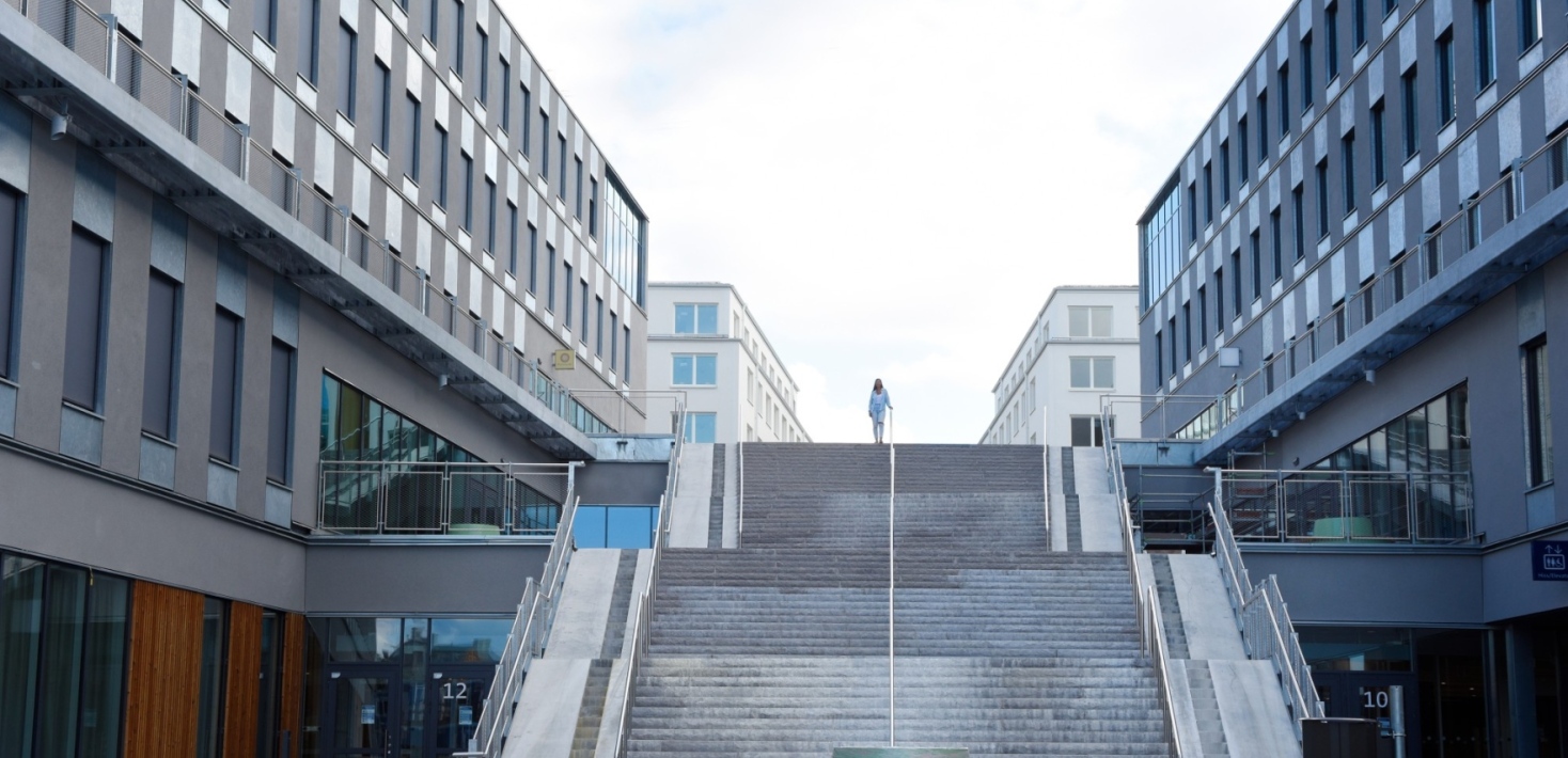 Albano, Stockholms universite