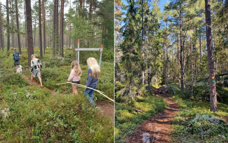 Kollage. Bild 1: 3 barn på skogsstig, 2: skogsstig, 3: 2 barn cyklar på skogsstig