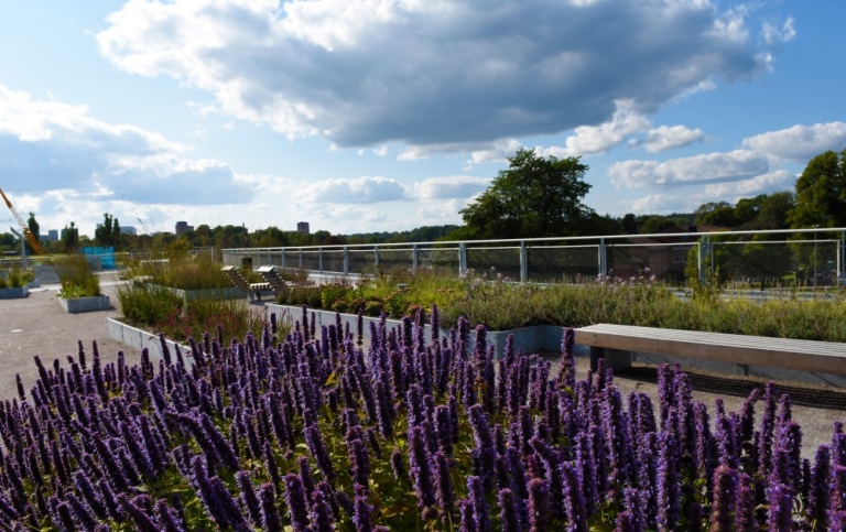Summer at Stockholm University, photo: Ingmarie Andersson