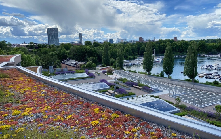 View of Brunnsviken from the rooftop terrace of the conference centre in Albano.