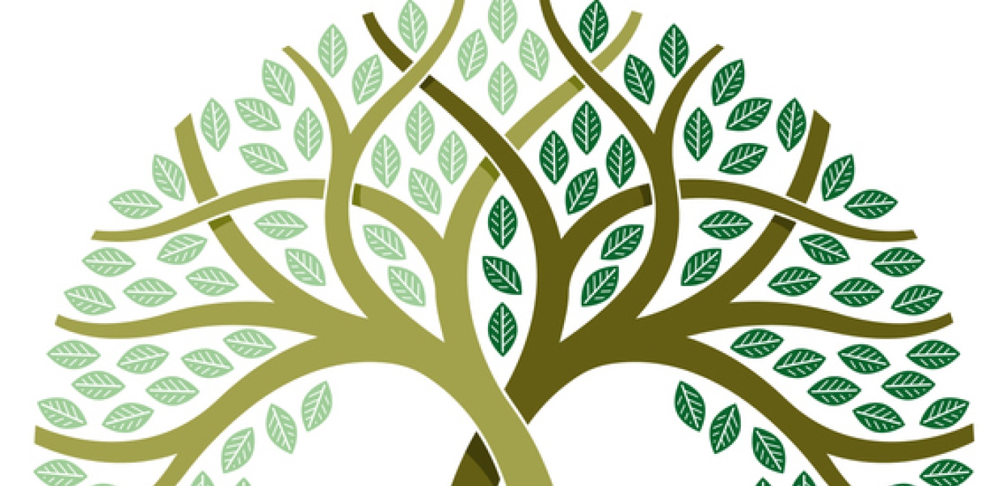 Two illustrated trees twisted around each other.