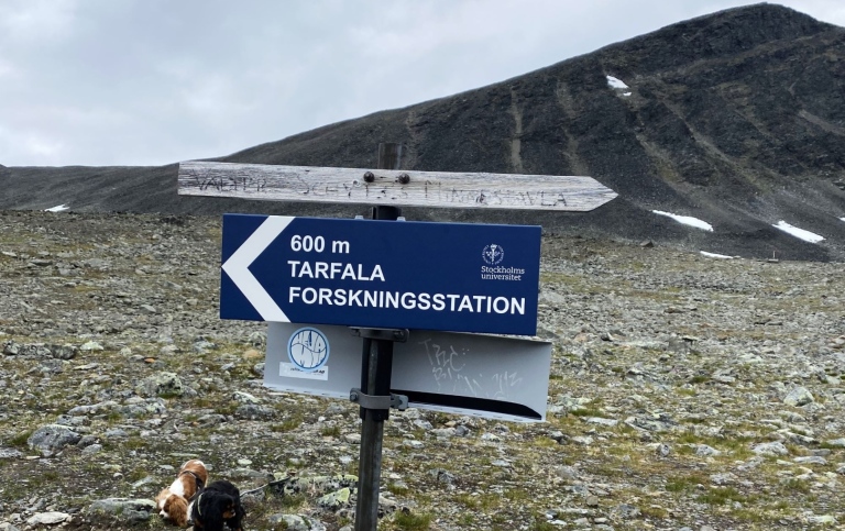 Signpost Tarfala Research station