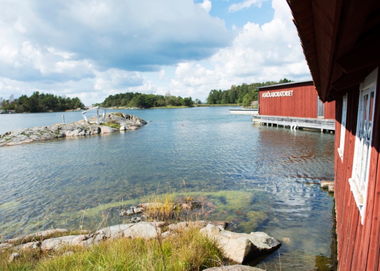 Röda hus invid en strand