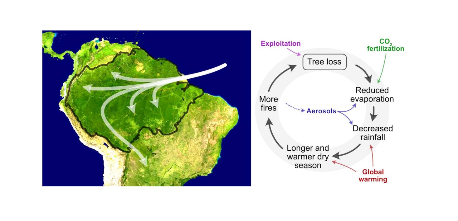 Map and schematic for feedback mechanisms. Figure: Thorsten Mauritsen/MISU/Stockholm University