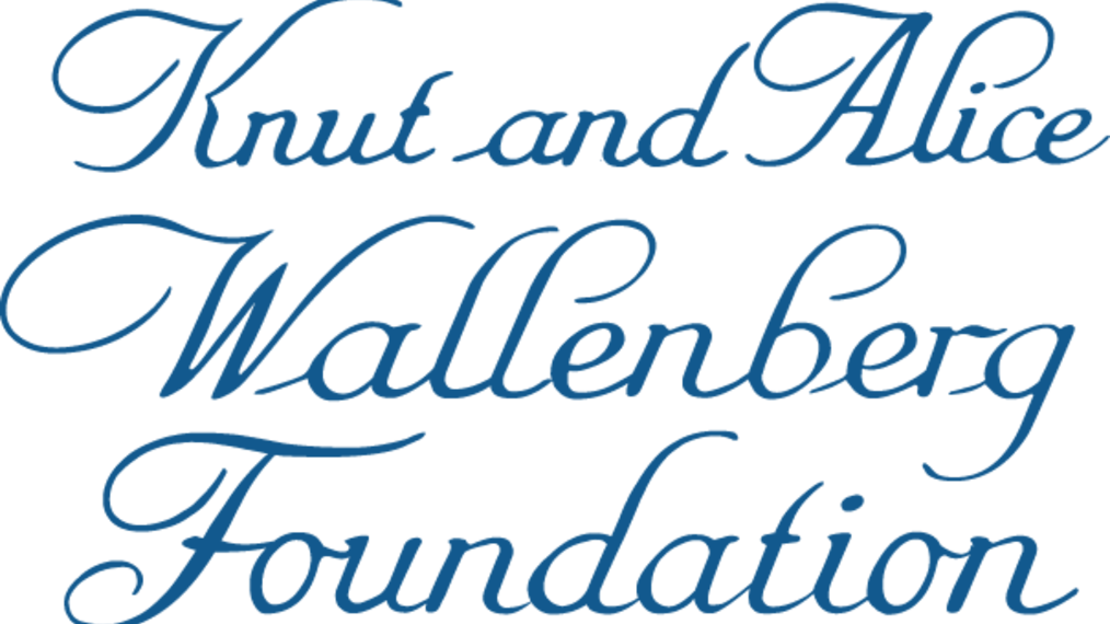 Läs mer om   Knut and Alice Wallenberg Foundation