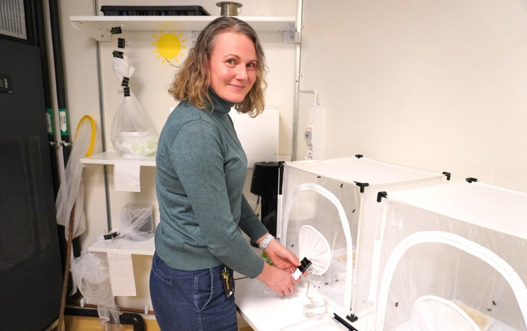 Researcher Emily Baird in her lab at Stockholm University