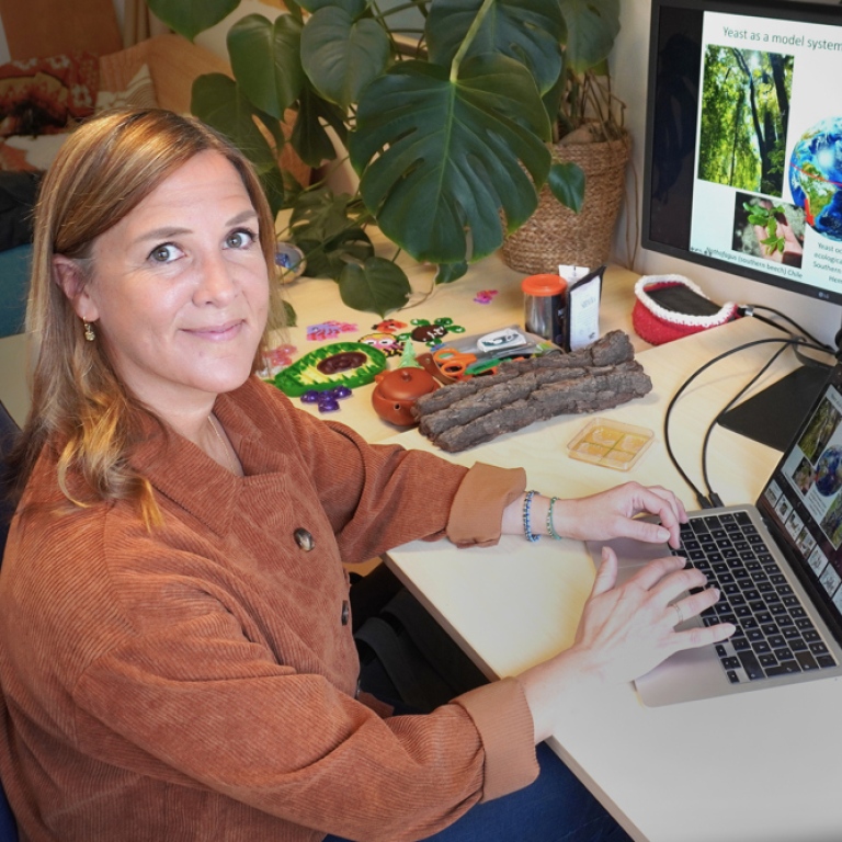 Rike Stelkens