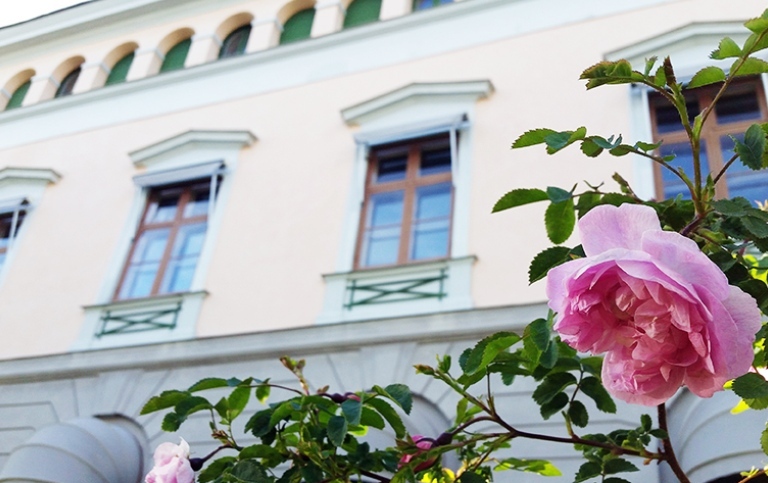 Ros framför Bloms hus