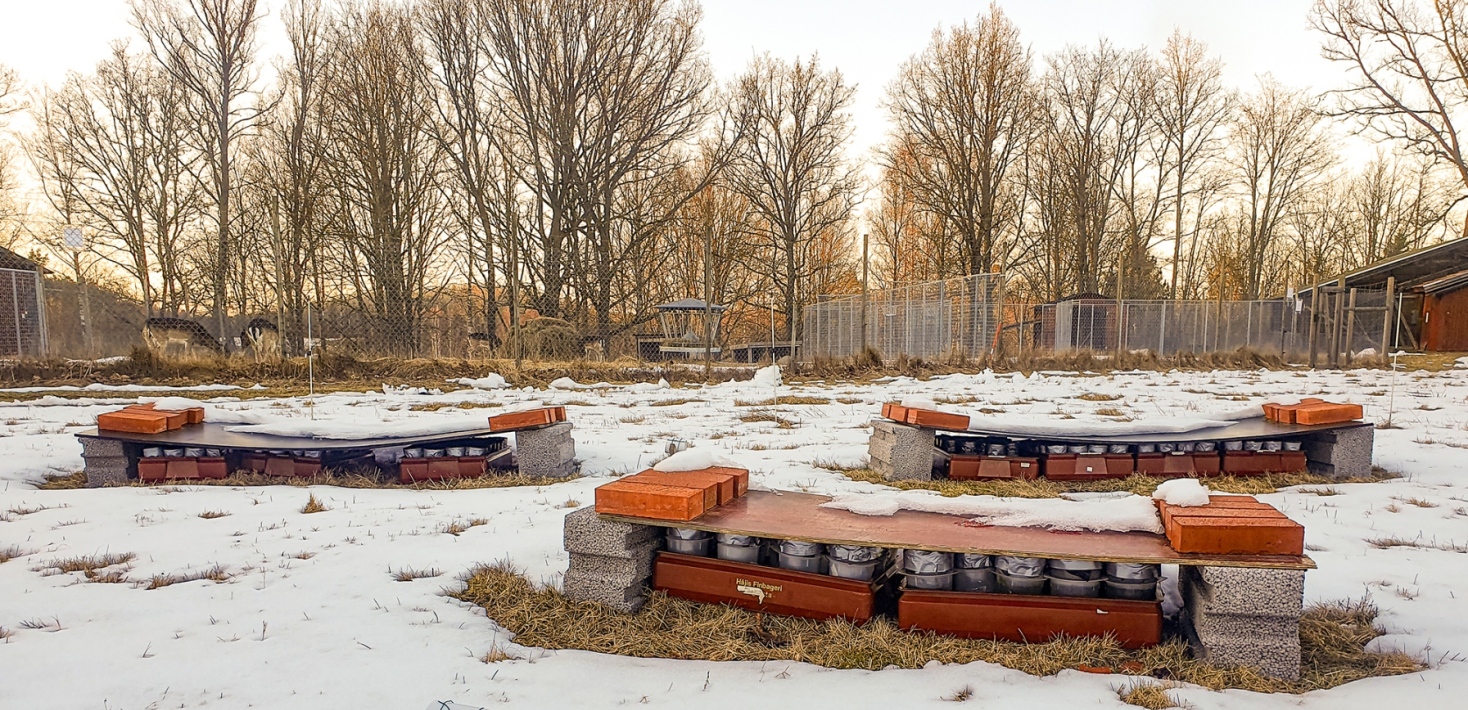 Cages at a field covered in snow