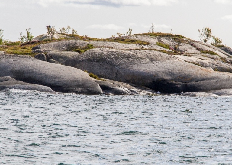 Rundade klipphällar vid en strand