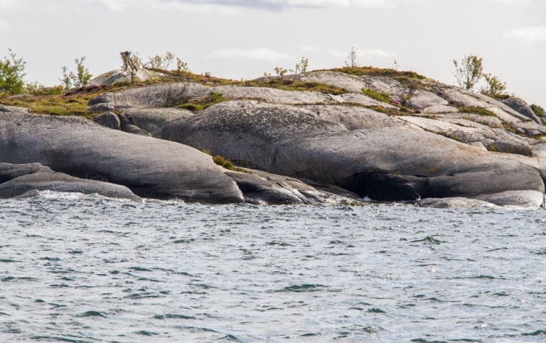 Rundade klipphällar vid en strand