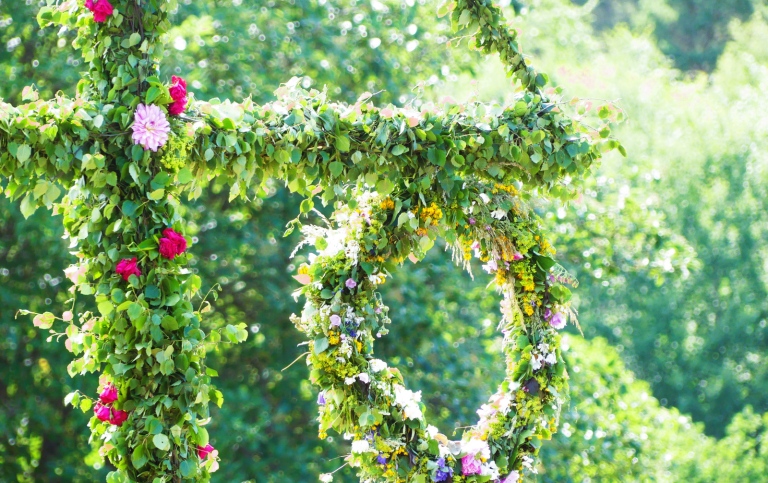 Lövad midsommarstång i det gröna.