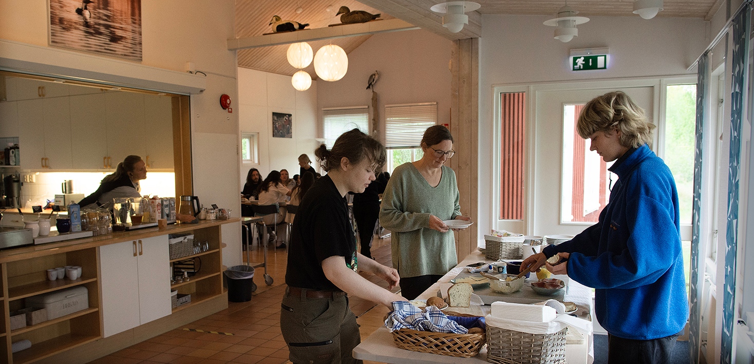 _DSC870WS_Tovetorp