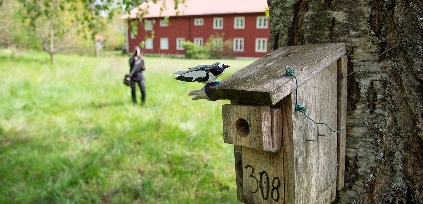 _DSC929WS_Tovetorp