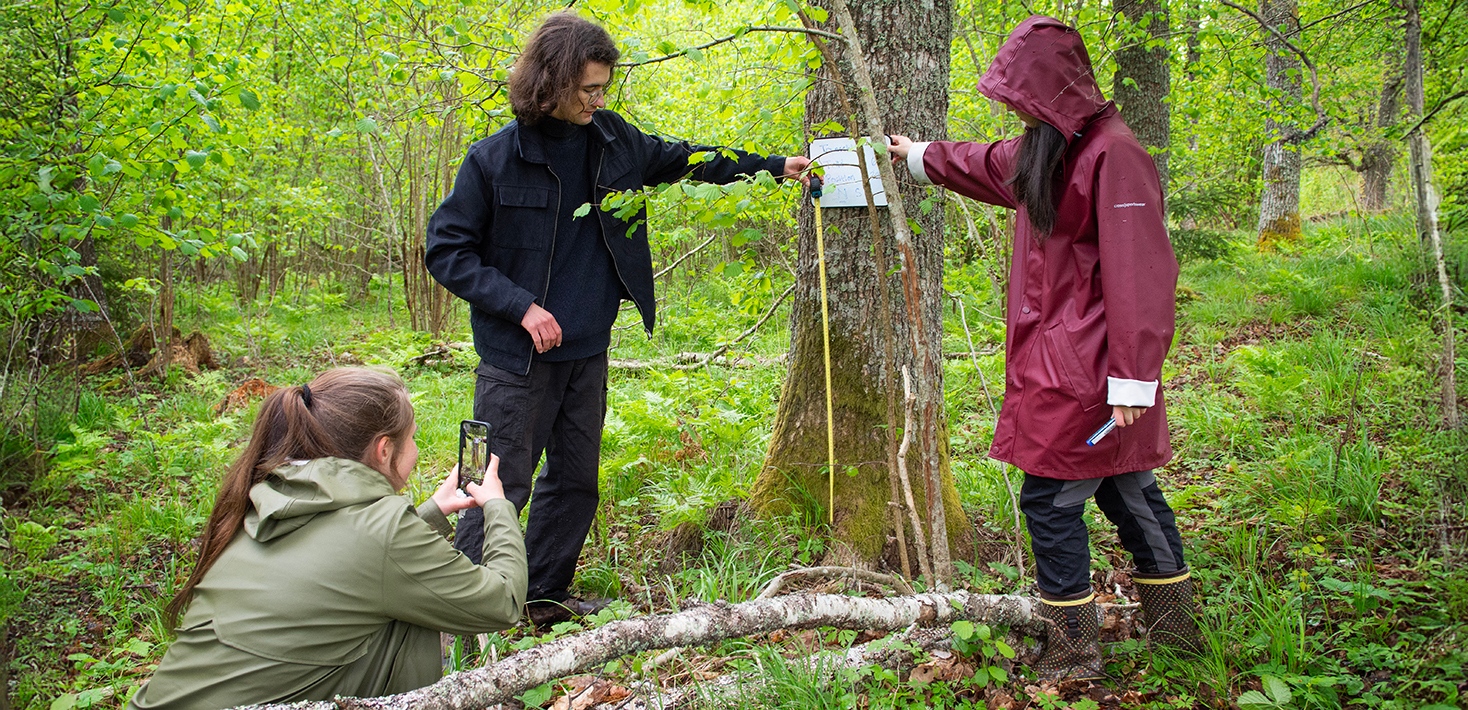 _DSC8410_WS_Tovetorp