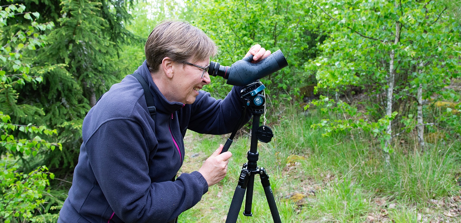 _DSC9469WS_Tovetorp