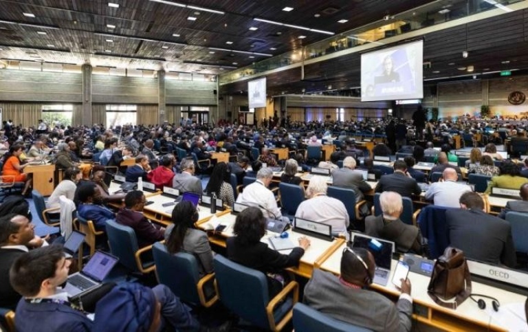 UNEA Meeting