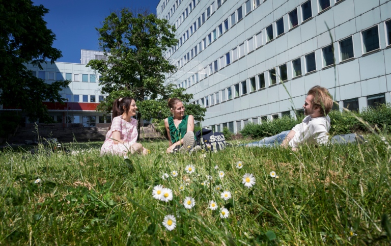 Three students sitting on the lawn by Södra huset