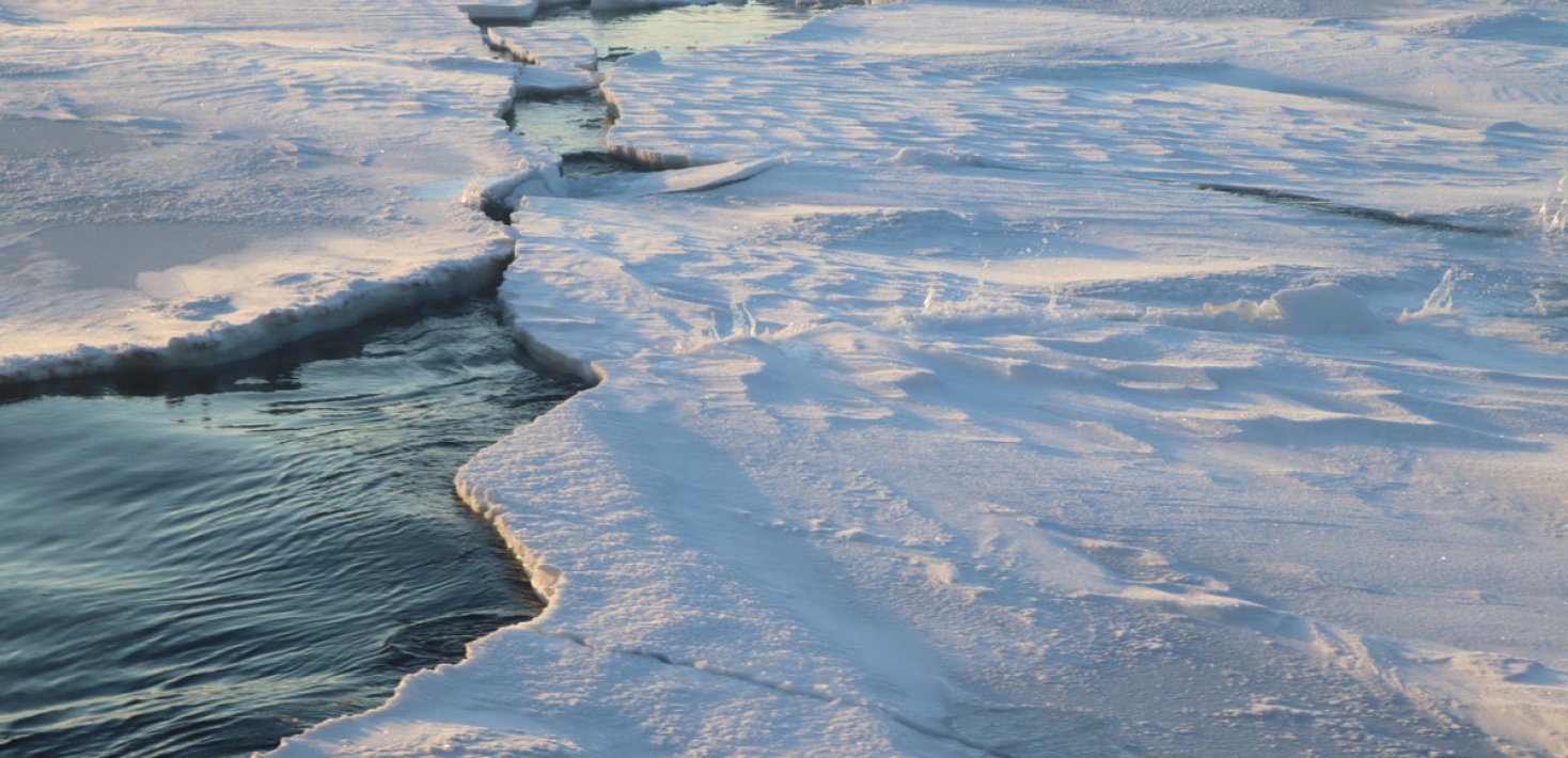 Credit: Marie Stetzler, UiT The Arctic University of Norway