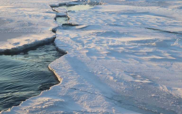 Credit: Marie Stetzler, UiT The Arctic University of Norway
