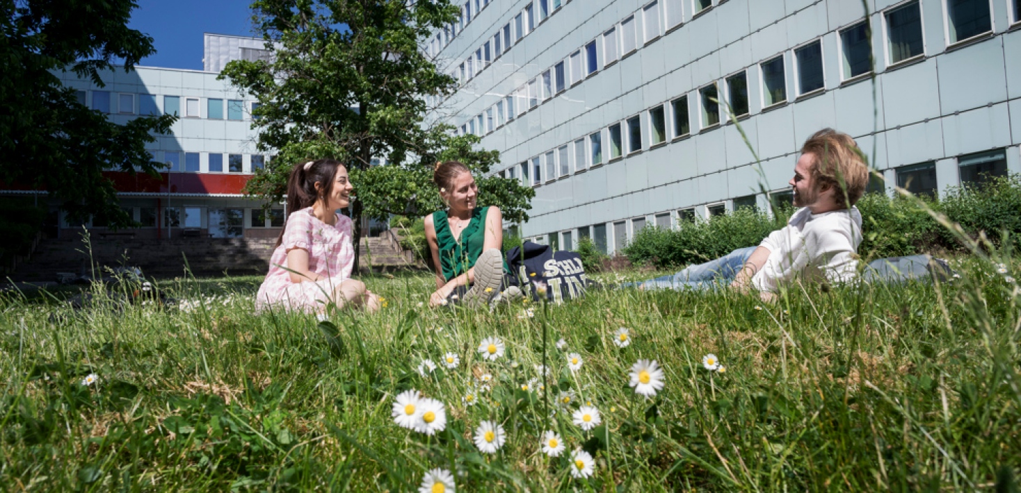 Studenter sitter i utomhus i gröngräset vid Södra huset. Blommor i förgrunden.