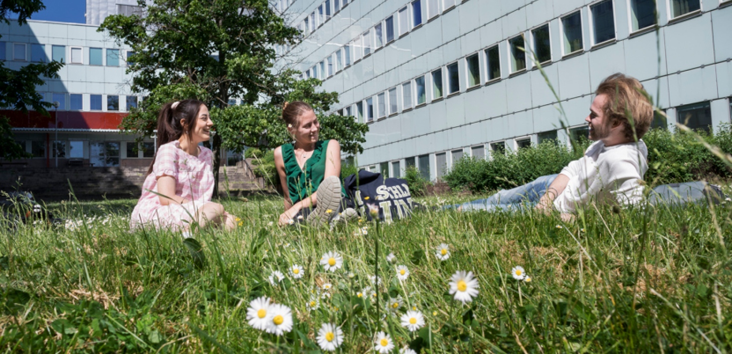 Students sitting in the grass talking, by Södra huset. Flowers in the foreground.