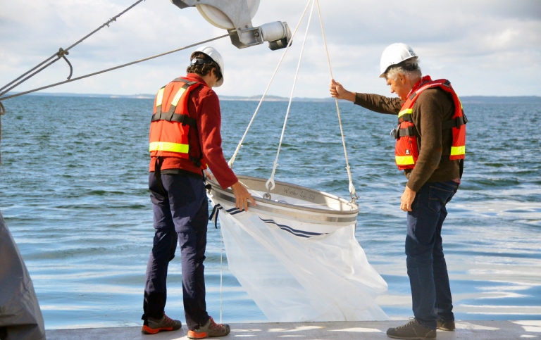 Fish larvae sampling with the CalCofi net. Photo: Sara Söderström
