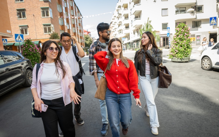 Stockholm University student browsing Stockholm.