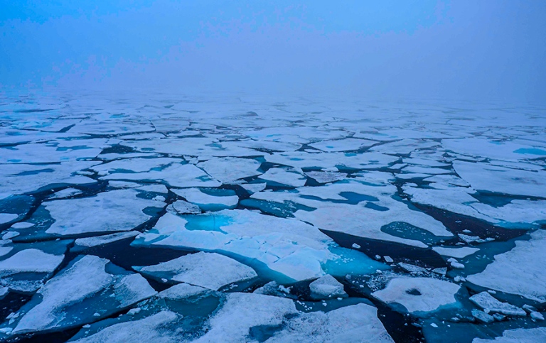Fog and melting sea ice.