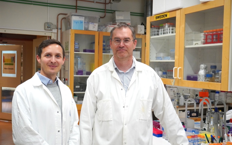 Pål Stenmark and Geoffrey Masuyer in the lab