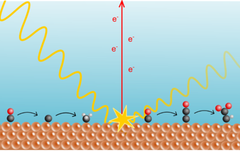 Insight into the Carbon Monoxide Reduction Reaction