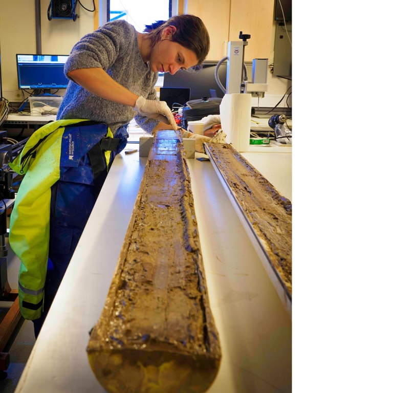 Studentstanding by a table working with sediment core the size of a tree trund