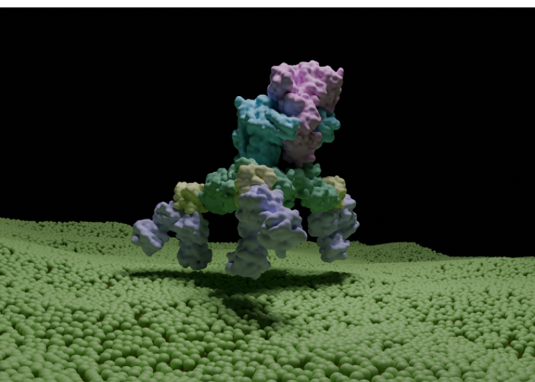 Toxinkomplexet