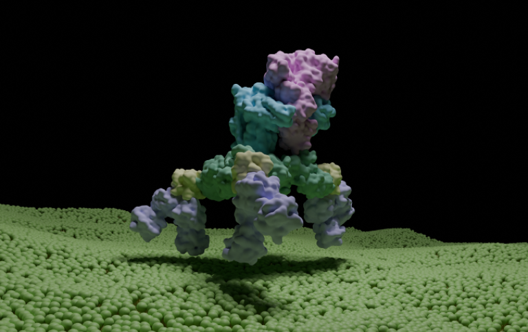 Toxinkomplexet består av 14 olika komponenter. Själva toxinet är färgat i rosa och är placerat högst upp i komplexet. Strukturen omfattar tiotusentals atomer, men här visas endast komplexets yta. Toxinkomplexet